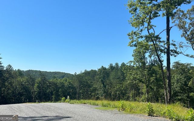 LT 12 Mountain Laurel Ridge, Mineral Bluff, GA 30559