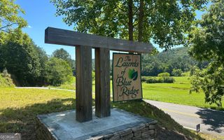 LT 12 Mountain Laurel Ridge, Mineral Bluff, GA 30559