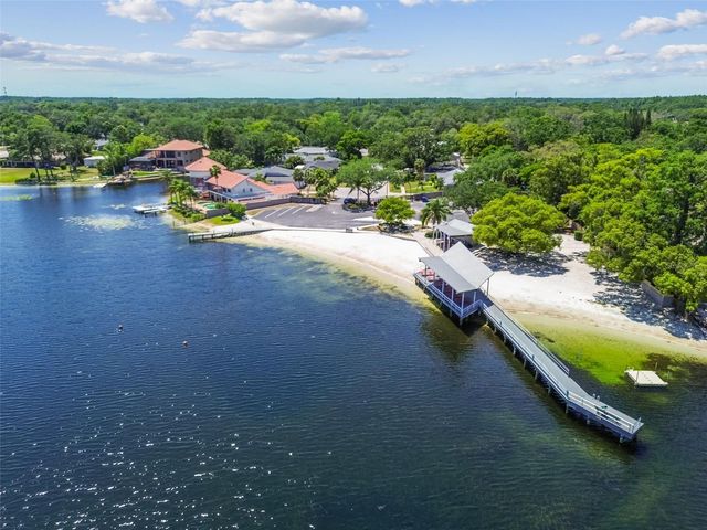 10916 CARROLLWOOD DRIVE, Tampa, FL 33618