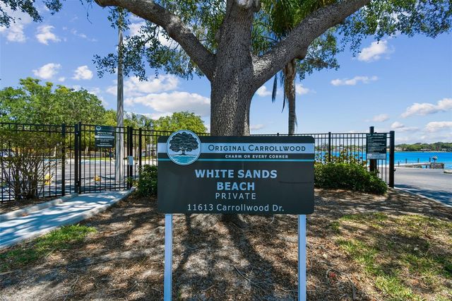 10916 CARROLLWOOD DRIVE, Tampa, FL 33618