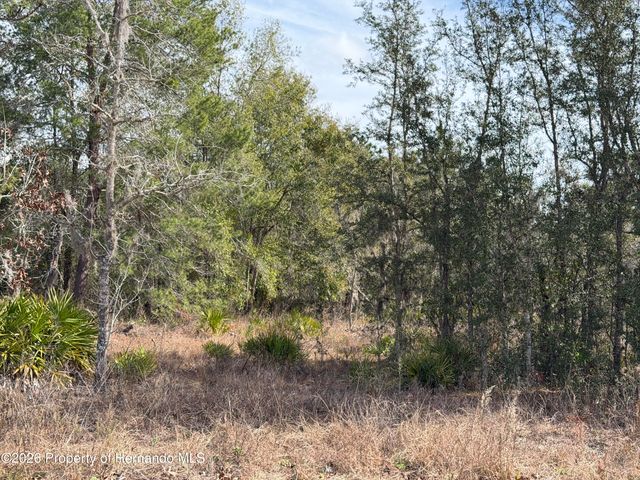 16426 Courlan Road, Brooksville, FL 34614