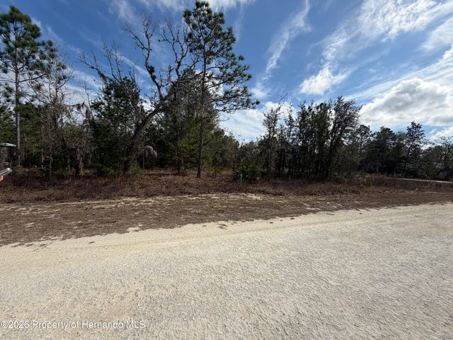 16426 Courlan Road, Brooksville, FL 34614
