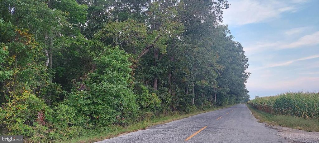 0 MC KISHEN RD, Pittsgrove, NJ 08318