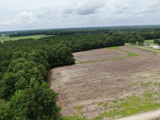 TBD Highway 308, Galivants Ferry, SC 29544