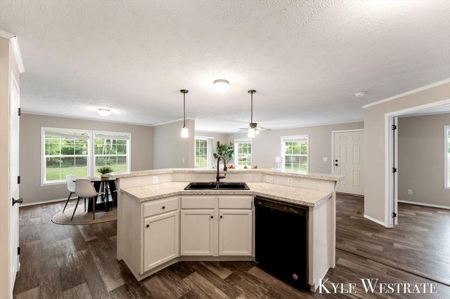 704 Chestnut, Howard City, MI 49329
