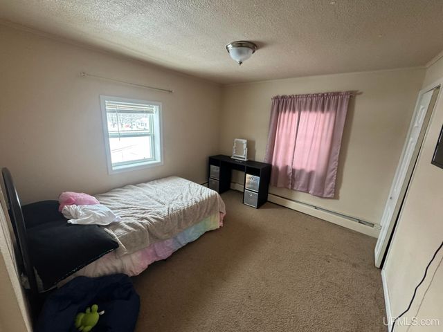 509 S Tamarack Street, Iron Mountain, MI 49801