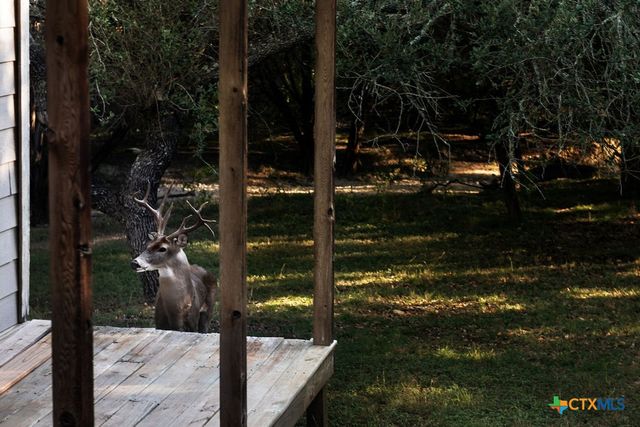 445 Scenic Hills Drive, Canyon Lake, TX 78133