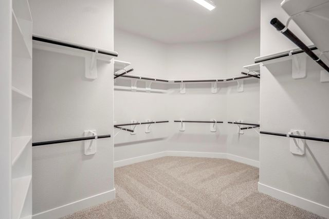 17307 Sunflower Petals Trail, Conroe, TX 77302