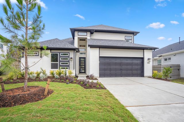 17307 Sunflower Petals Trail, Conroe, TX 77302