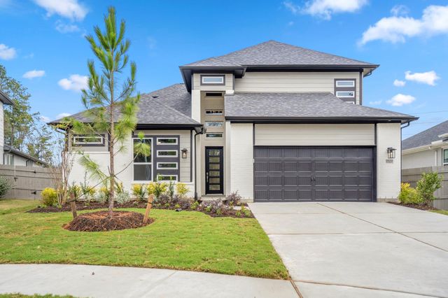 17307 Sunflower Petals Trail, Conroe, TX 77302