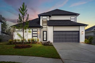 17307 Sunflower Petals Trail, Conroe, TX 77302