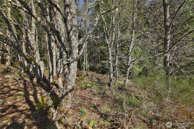 0 XXX SR 525 Road, Langley, WA 98260