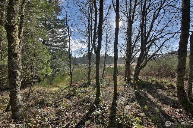 0 XXX SR 525 Road, Langley, WA 98260