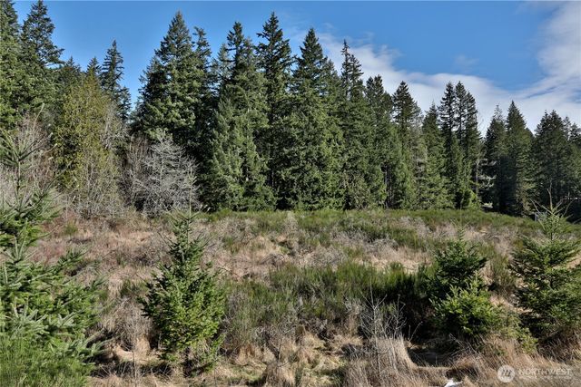 0 XXX SR 525 Road, Langley, WA 98260