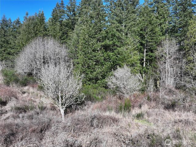 0 XXX SR 525 Road, Langley, WA 98260