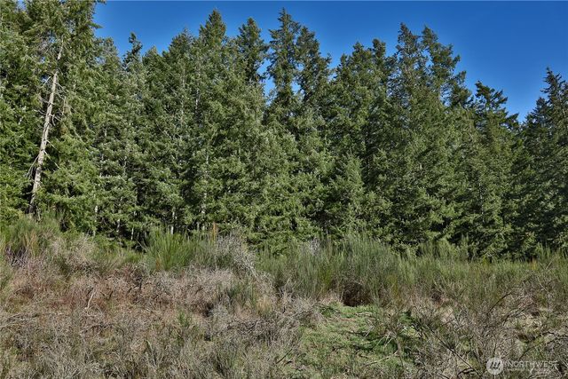 0 XXX SR 525 Road, Langley, WA 98260