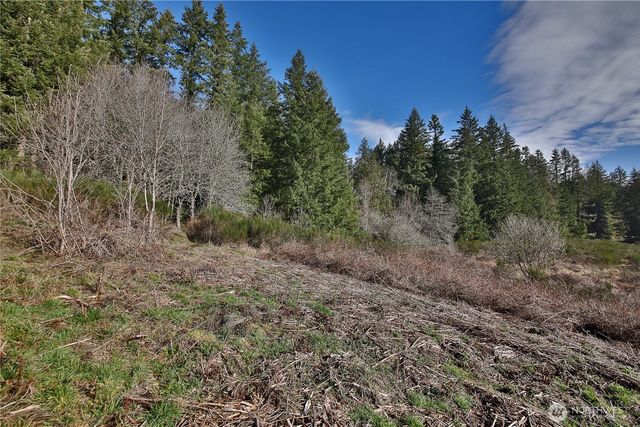 0 XXX SR 525 Road, Langley, WA 98260