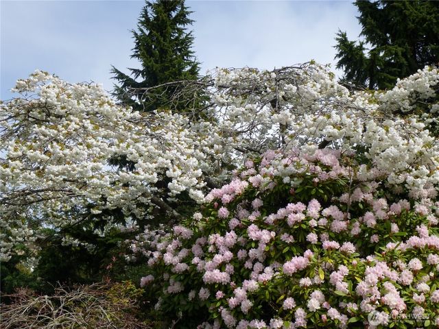 7407 180th Street SW, Edmonds, WA 98026