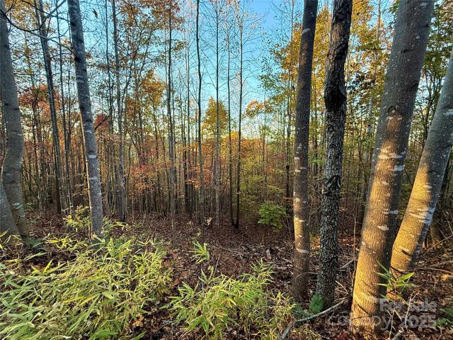 19 Meditation Ridge Extension, Nebo, NC 28761