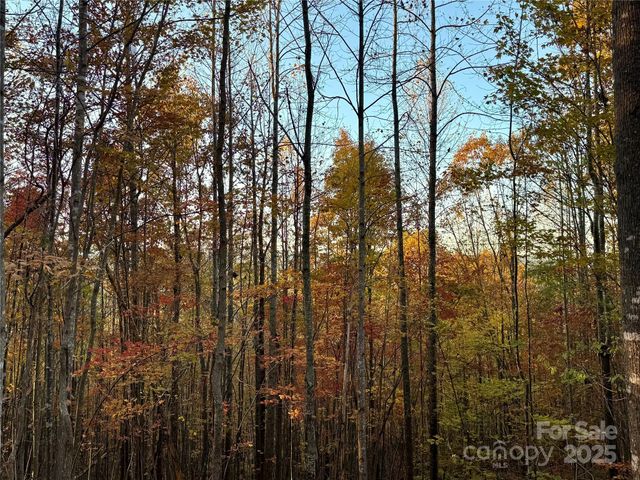 19 Meditation Ridge Extension, Nebo, NC 28761