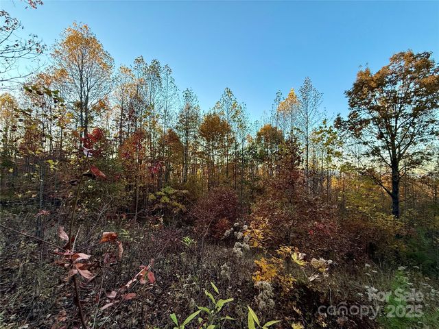 19 Meditation Ridge Extension, Nebo, NC 28761