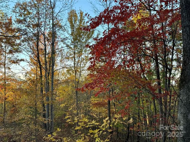 19 Meditation Ridge Extension, Nebo, NC 28761