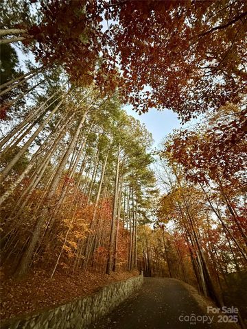 19 Meditation Ridge Extension, Nebo, NC 28761