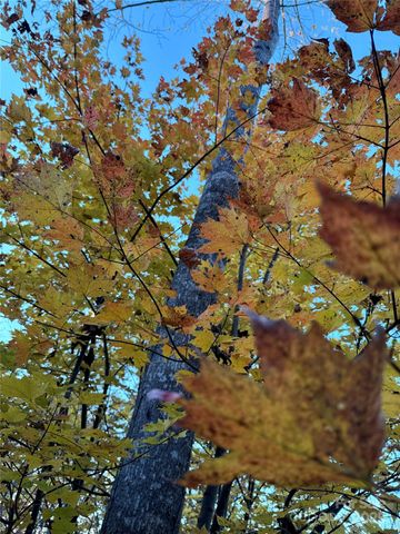 19 Meditation Ridge Extension, Nebo, NC 28761