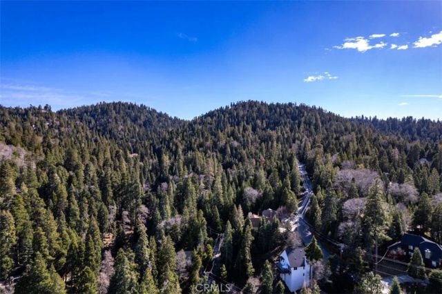 28622 Shenandoah Drive, Lake Arrowhead, CA 92352