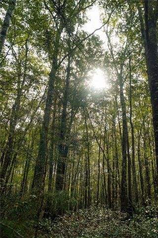 2 tract Old Saddle Way Road, Townsend, GA 31331