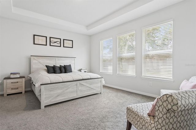 10561 TRANQUIL MEADOW LOOP, Riverview, FL 33569