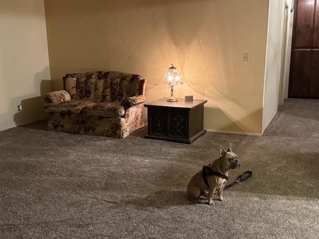 18288 Mountaintop Ln, Grass Valley, CA 95949