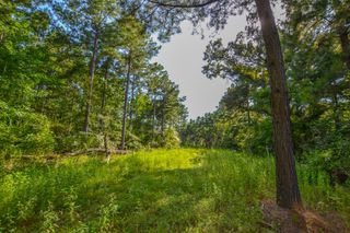 0 County Road 4224, Frankston, TX 75763