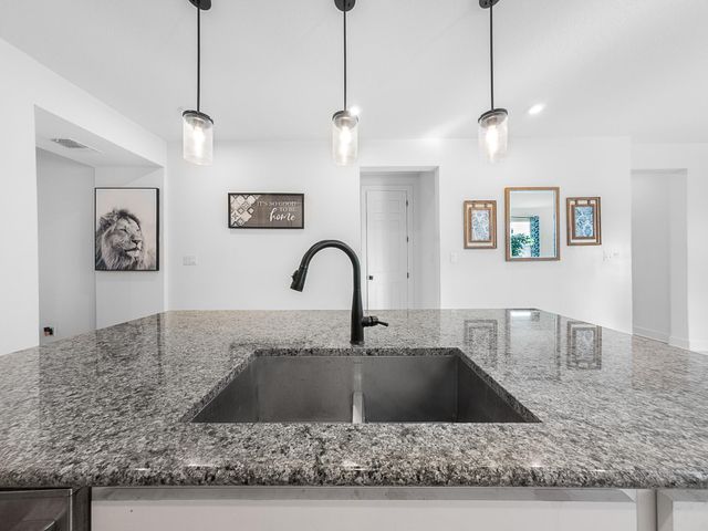 20811 Phebe Foster ST, Manor, TX 78653