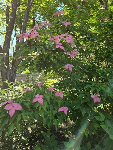 135 Williams Rd, Concord, MA 01742