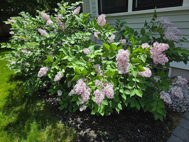 135 Williams Rd, Concord, MA 01742