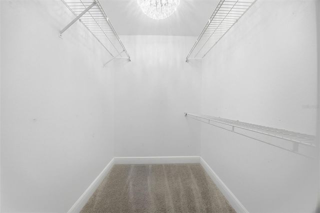 3331 MARION DRIVE, Palm Harbor, FL 34684