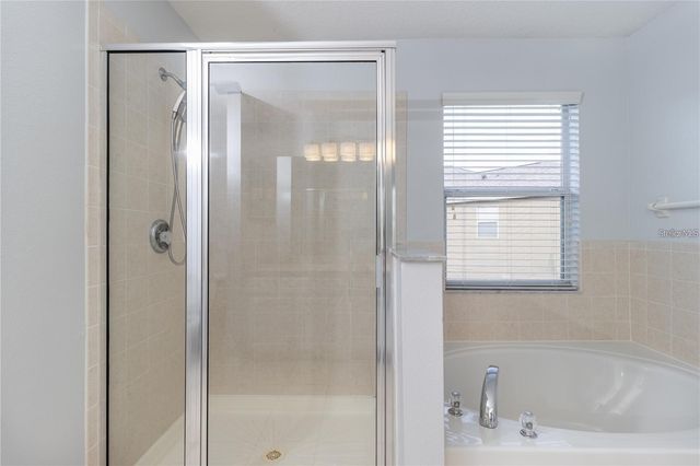 17533 STINCHAR DRIVE, Land O Lakes, FL 34638