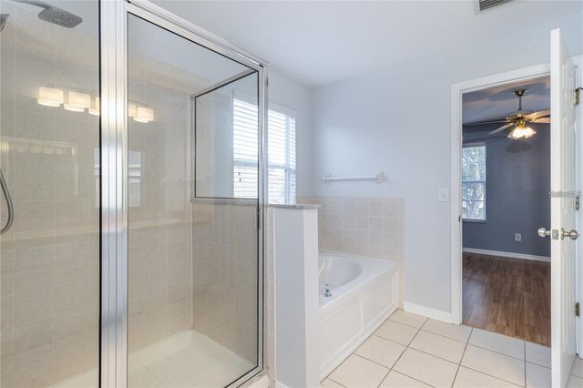 17533 STINCHAR DRIVE, Land O Lakes, FL 34638