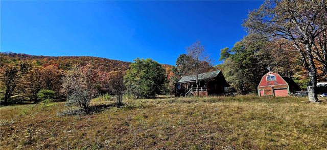 781 Charcoal Road, Roxbury, NY 12167