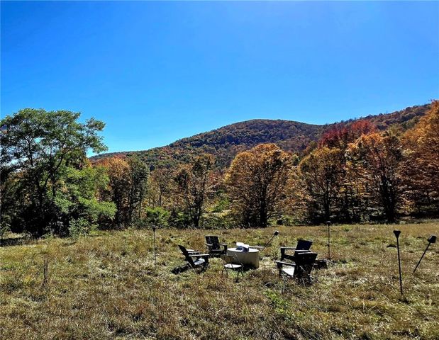 781 Charcoal Road, Roxbury, NY 12167