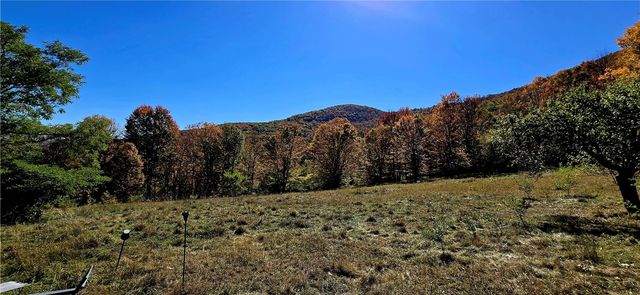 781 Charcoal Road, Roxbury, NY 12167