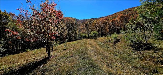 781 Charcoal Road, Roxbury, NY 12167