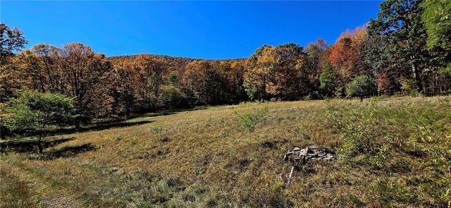 781 Charcoal Road, Roxbury, NY 12167