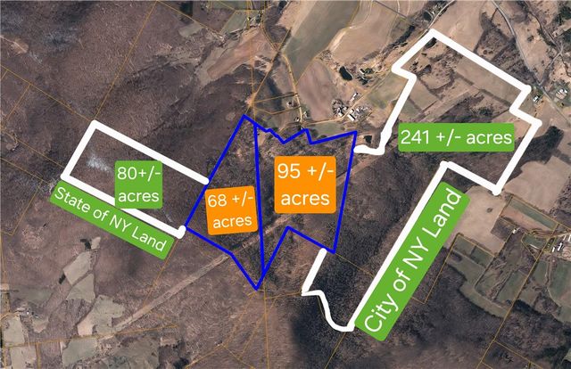 781 Charcoal Road, Roxbury, NY 12167