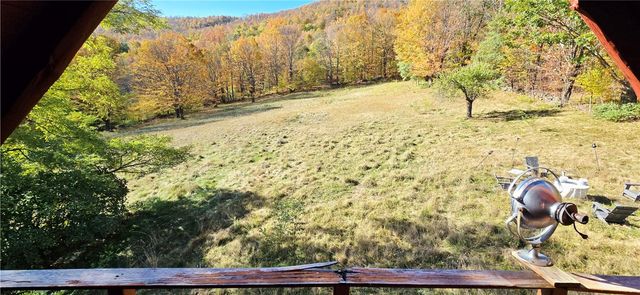 781 Charcoal Road, Roxbury, NY 12167