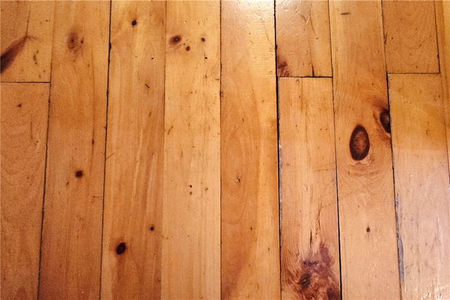 781 Charcoal Road, Roxbury, NY 12167