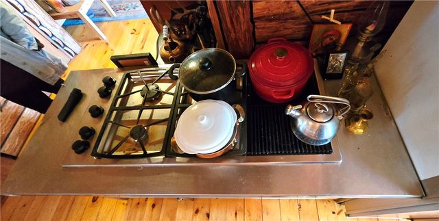 781 Charcoal Road, Roxbury, NY 12167