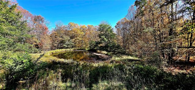 781 Charcoal Road, Roxbury, NY 12167