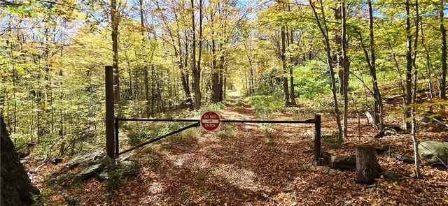 781 Charcoal Road, Roxbury, NY 12167